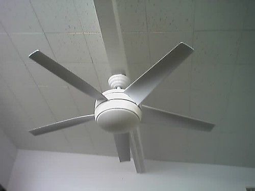 Ventilador de teto